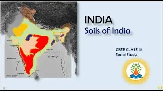 Soils of India | What are the soils of India explain? How are soil classified ?