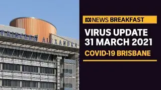 Brisbane prepares for likely longer lockdown as infection numbers grow | News Breakfast