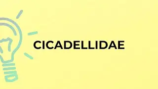What is the meaning of the word CICADELLIDAE?