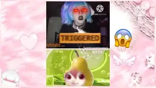 [🍐] Kasane Pearto goez on omegle [GONE WRONG!!!]