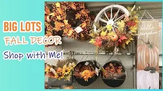 BIG LOTS FALL DECOR 2020 SHOP WITH ME HOME DECOR