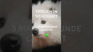 Herzlich Willkommen, Nancy, Knut und Karlchen 💚