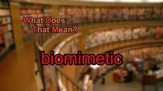 What does biomimetic mean?