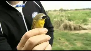 Out in the Field with the Vancouver Avian Research Team