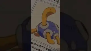 Shiny Shuckle