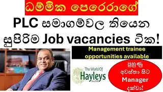 Hayleys Group Job Vacancies 2025 &ndash; Management Trainees, Internships & More | Apply Now!