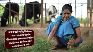 કુદરતી આફતો સમયે પશુઓની કાળજી #flood #famine #earthquake #animalwelfare
