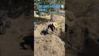 ASMR Yard Debris Removal with Daddy Day Trader: Trading Break  #trading #rivian