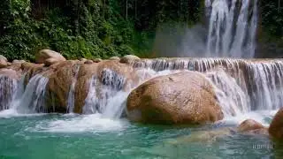 This Turquoise Waterfall Looks Unreal (4K)
