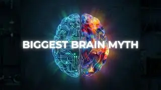 The Left Brain vs Right Brain Myth &mdash; What Neuroscience Really Shows