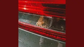 an ode to the dead moth i found... IN my car's tail light??