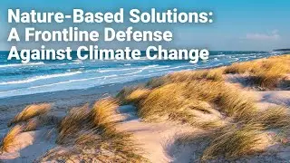Nature-Based Solutions: A Frontline Defense Against Climate Change