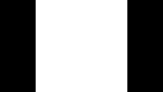 Flite Summer Sale