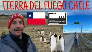 TIERRA DEL FUEGO CHILE 🇨🇱 | La Isla Mas Grande De Sudamerica 🐧