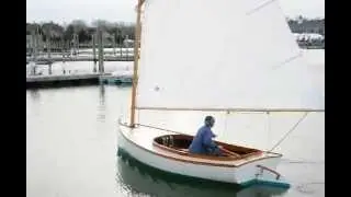 Crosby Harbor Cat