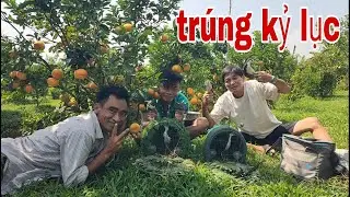 Vườn Quýt Hồng Quá Nhiều Quốc Bổi Tới Dính Bẫy Gỡ Liền Tay # SĂN BẮT ĐỒNG THÁP #