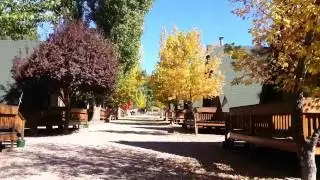 Fall at the cabins!