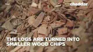 | Make PAPER from TREE | The Process Of Making PAPER | How Paper Is Made From A Tree | VKV2 |
