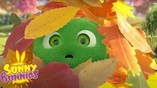 SUNNY BUNNIES - SEASON 7 MARATHON | Hopper's Drone | Cartoons for Kids