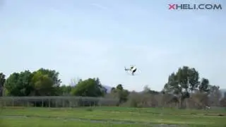 Exi 450 Pro Crash