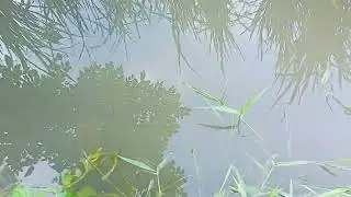 Aahedi Berpetualang ke pulau di tengah sawah Part 1