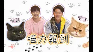 【寵物系列】史上最像鰲拜的喵星人 | 你一定沒看過比狗還乖的貓 | ft.李博翔、朱宇謀