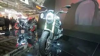LEONCINO 80015