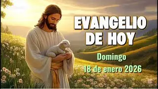 Evangelio de Hoy | Domingo 18 | La Palabra que renueva nuestra fe 🙌🏻🙏🏻