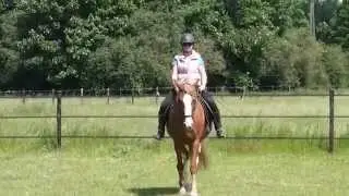 Oefening voor het rechter, sterker en soepeler maken van je paard