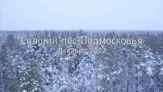 😍 Леса Подмосковья.