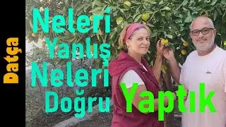 Tam Zamanlı Karavan Yaşamı