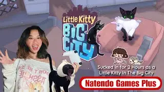 Little Kitty, BIG Chaos 🐈&zwj;⬛🎄 | Natendo Games Plus 🎮🎅🏻 Games-mas Day 2