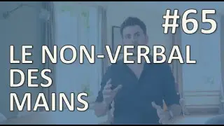 Le Non-Verbal des Mains - 1jour1geste #65