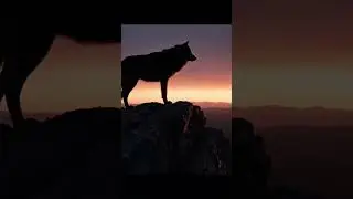 The Last Howl on Black Ridge (Dark Americana / Alt-Country Ballad)