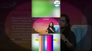 Functions of the Cell Wall || #Shorts || Deveeka Kiran Rao || Infinity Learn 9&10