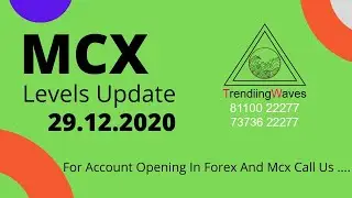 MCX Trading Levels 29 Dec 2020 TW