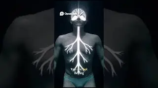 Master Your Mind  The Power of Conscious Choice