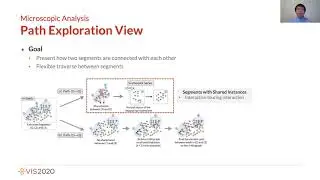 IEEE VIS 2020 Presentation 