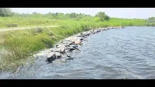 NATURE PRESERVE (ప్రకృతి సంరక్షణ)