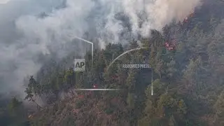 Syria&rsquo;s neighbours and organisations from across country join efforts to fight Latakia wildfires