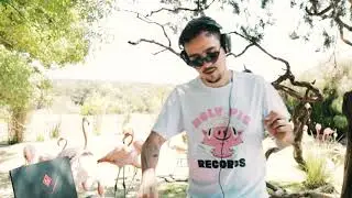 Holy Pig Records Presents: MR. Pig in Flamingo Lake