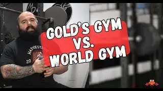 World Gym против Gold's Gym: советы тренера по пауэрлифтингу