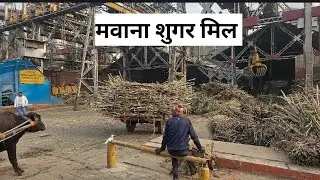 आज देखिए मवाना शुगर मिल मिलिए आज यहाँ के गन्ना किसानों से कैसा निकल रहा है यहाँ गन्ना