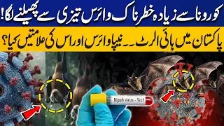 Nipah Virus & What are its Symptoms? Virus More Dangerous than Covid? High Alert in Pakistan!