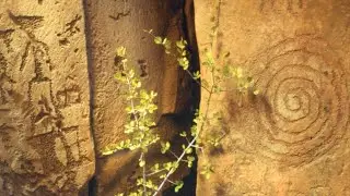 Rock Art of Arizona