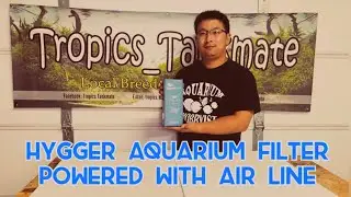 Aquarium Fluid Bed Filter with Bio Media and Filter Sponge