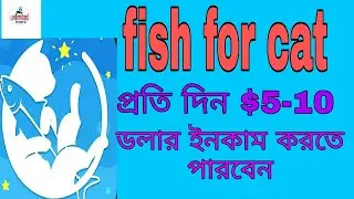 Fish for cat playing fishing game / cash earning app paypal Money bangla 2020