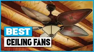 Best Ceiling Fans 2020 - Top 5 Ceiling Fans (New Release)