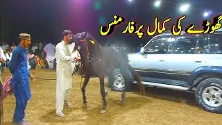 Pakistan Famous Horse dance 2024 | Punjab Kamliya Ghora Naach Program | Vip & Viral Dance |