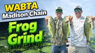 LOG JUMPING AND FROG EXPLOSIONS- WABTA Madison Chain (2025)